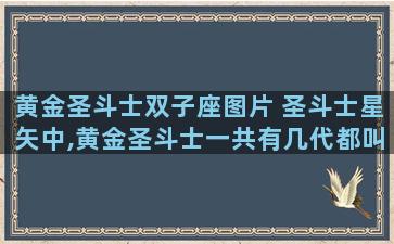 黄金圣斗士双子座图片 圣斗士星矢中,黄金圣斗士一共有几代都叫什么名字